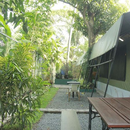 Traveler'S Haven Hostel At Colombo Intl Airport Katunayaka Exteriör bild