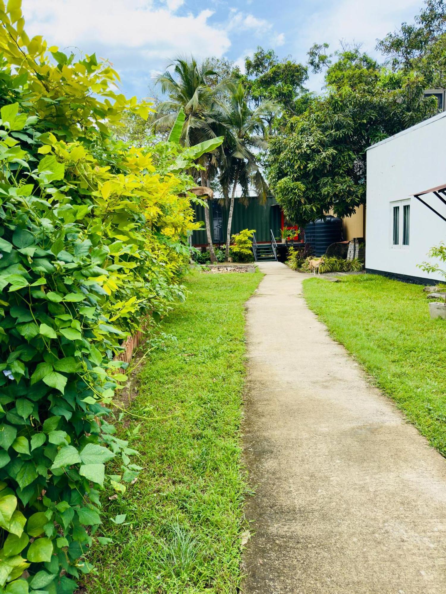 Traveler'S Haven Hostel At Colombo Intl Airport Katunayaka Exteriör bild